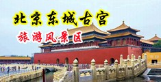 大鸡巴插女人屄视频中国北京-东城古宫旅游风景区